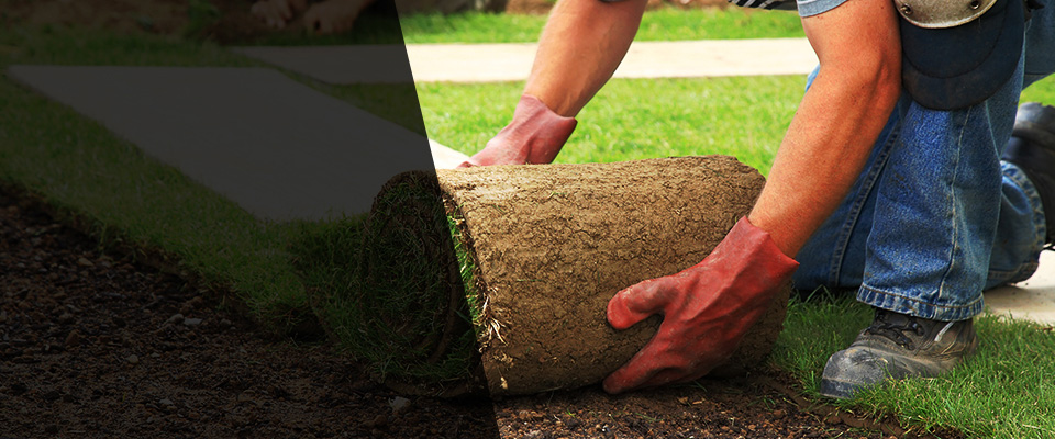 Addison Landscapers